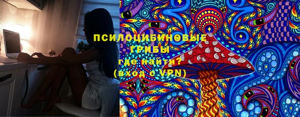 a pvp Гатчина