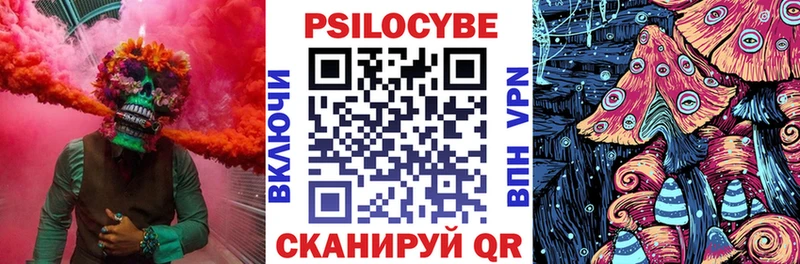 цена наркотик Тула Псилоцибиновые грибы MAGIC MUSHROOMS